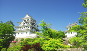 郡上八幡城　新緑まつり2016