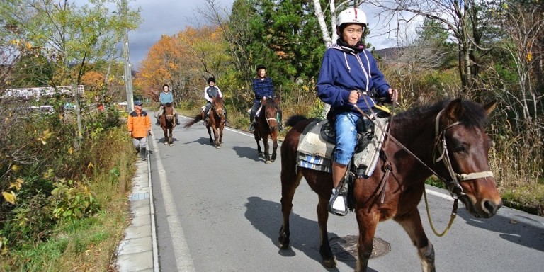 ひるがの高原で一般道を行く！初めての木曽馬乗馬体験（プログラム68/長良川おんぱく2015）